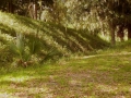 Sunbury, earthworks at Fort Morris