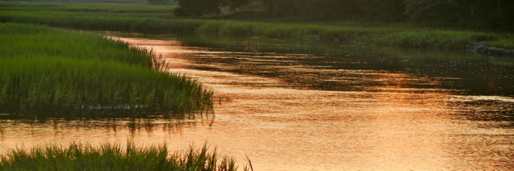 blood on marsh 1050 X 350